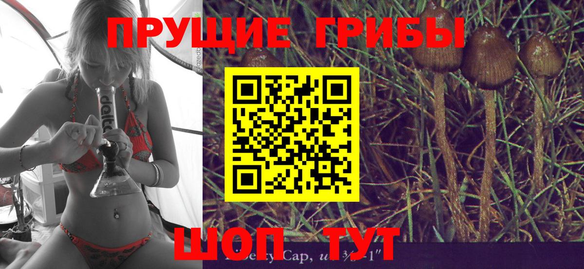 Галлюциногенные грибы ЛСД  Вход с VPN  Нефтекамск  Псилоцибиновые грибы GOLDEN TEACHER 