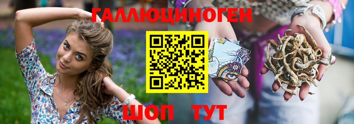 Псилоцибиновые грибы Psilocybe Нефтекамск